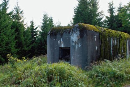 analiza europa vrea sa isi pregateasca cetatenii pentru razboi dar clivajul est vest persista cum percep oamenii amenintarea dinspre rusia 67fad455e60ef