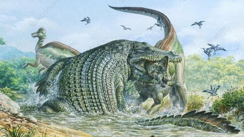 cum a ajuns crocodilul teribil un urias mancator de dinozauri vorbim despre un animal absolut monstruos studiu 680ea1dcd00fe