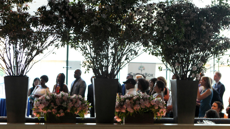 cum a fost gasit pastorul american rapit in timpul unei slujbe in africa de sud a fost salvat dupa un schimb de focuri 67ff751d6036e