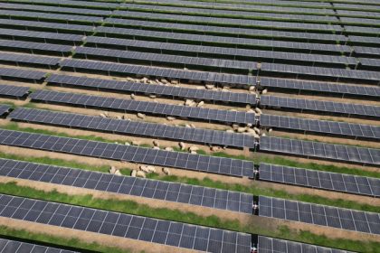 foto a fost finalizat cel mai mare parc fotovoltaic finantat prin pnrr de ministerul energiei 6810e6e214bb0