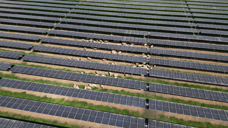 foto a fost finalizat cel mai mare parc fotovoltaic finantat prin pnrr de ministerul energiei 6810e6e214bb0