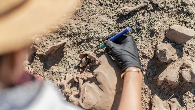 misterele cimitirului medieval descoperit langa aeroportul cardiff zecile de schelete gasite in pozitii neobisnuite sunt de femei 6808c5e178b77