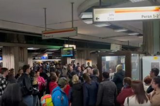 news alert o femeie s a aruncat in fata metroului circulatie perturbata pe magistralele 1 si 3 67ec0187e9cb6