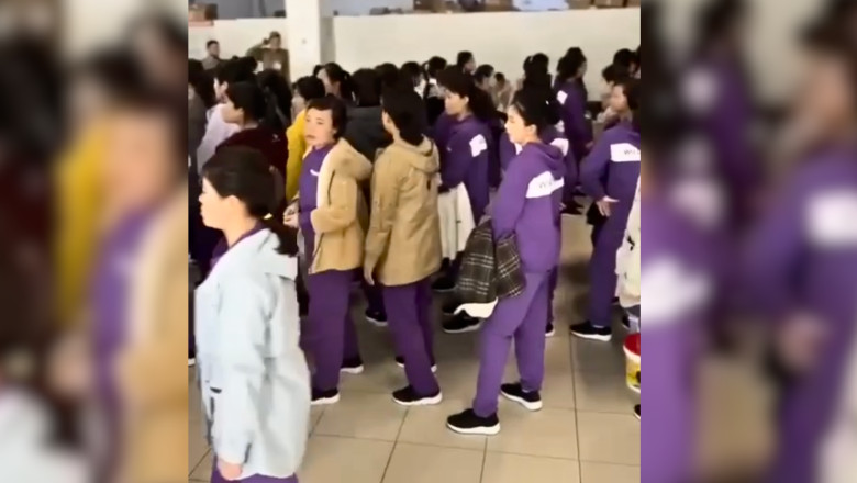 nu va mananca nord coreenii cainii iar asta nu este sange autoritatile din vladivostok ii linistesc pe rusii ingrijorati 6801220073780