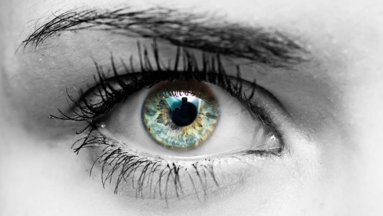 oamenii de stiinta sustin ca au descoperit o noua culoare pe care nimeni nu a mai vazut o pana acum 6803da1d6bee5