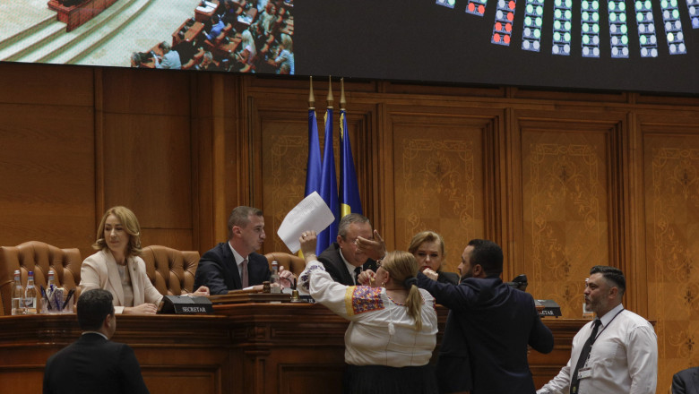 proiect de lege persoanele agresive risca o interdictie de doi ani in palatul parlamentului 67f904bd3291e