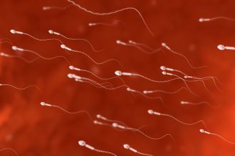 studiu barbatii cu sperma de calitate superioara traiesc mai mult cateva cifre despre speranta de viata 67f0bddb50870