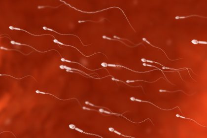 studiu barbatii cu sperma de calitate superioara traiesc mai mult cateva cifre despre speranta de viata 67f0bddb50870