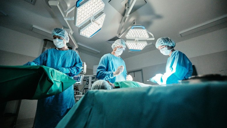 un rinichi de porc extras din corpul unei paciente din sua dupa o functionare record de 4 luni sunt foarte recunoscatoare 67f96588a31ca