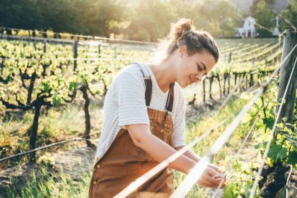 video cursuri gratuite de gradinarit predate pasionatilor intr o universitate de stat din tara ce spun cei care s au inscris deja 67ebc1be1023d