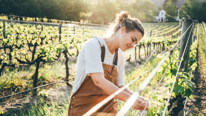 video cursuri gratuite de gradinarit predate pasionatilor intr o universitate de stat din tara ce spun cei care s au inscris deja 67ebc1be1023d
