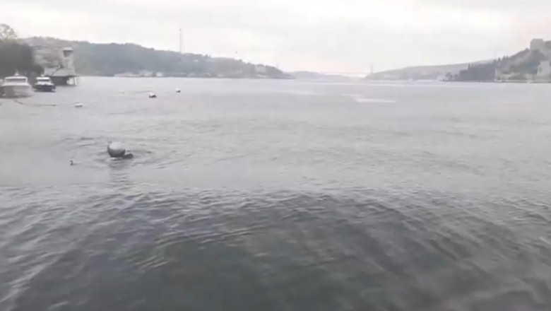 video cutremurul din turcia surprins in direct la televiziune valuri uriase in marea marmara 6808ca8d5efc7