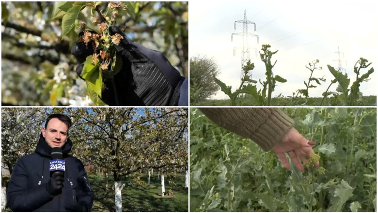 video nu ne mai asteptam la aceasta zapada prapad in livezi si pe camp din cauza valului de frig din ultimele zile 67f4a73d7a0ae