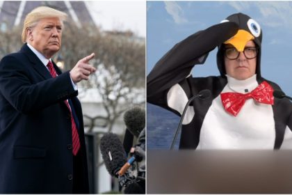 video tarifele impuse de trump unui teritoriu locuit doar de pinguini au starnit glume online suntem pasari in smoching nu mai trancani 67f0ed95a8f51