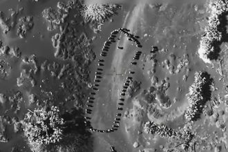 video trump a publicat un videoclip in care mai multe persoane sunt lovite de o explozie in yemen oops acesti houthi nu vor mai ataca 67f0d2b566b98