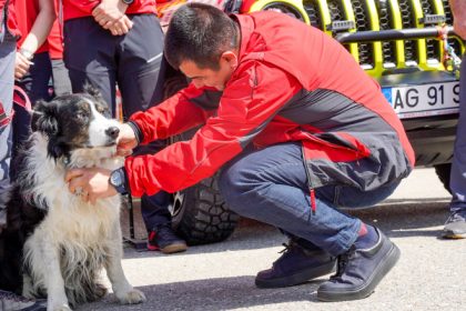 videofoto helios primul caine salvator montan din romania s a retras dupa 12 ani de activitate 680cd58ce8fb3