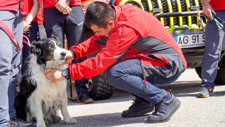 videofoto helios primul caine salvator montan din romania s a retras dupa 12 ani de activitate 680cd58ce8fb3