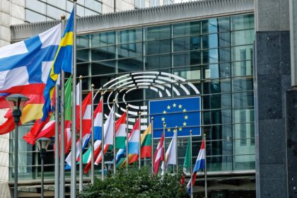 altercatie intre o eurodeputata suedeza de origine romana si o angajata de la un alt grup parlamentar care a fost motivul 682f6e5e71802