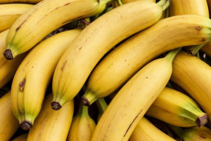 bananele in pericol ce anume le ameninta culturile 6821f58873ba3