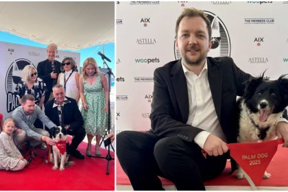 cannes 2025 un ciobanesc islandez a primit trofeul palme dog pentru cea mai buna interpretare canina 683153c09f653