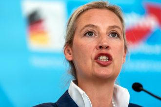 ce spune ministrul german de interne despre posibilitatea interzicerii partidului extremist afd 682cc7d99c59b