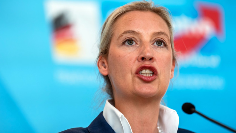 ce spune ministrul german de interne despre posibilitatea interzicerii partidului extremist afd 682cc7d99c59b