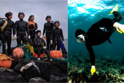 cine sunt legendarele sirene din insula de paradis a coreei de sud special adaptate la viata subacvatica au trasaturi genetice unice 68217379a83e9