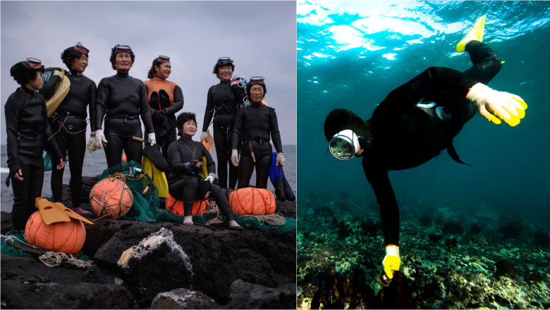 cine sunt legendarele sirene din insula de paradis a coreei de sud special adaptate la viata subacvatica au trasaturi genetice unice 68217379a83e9