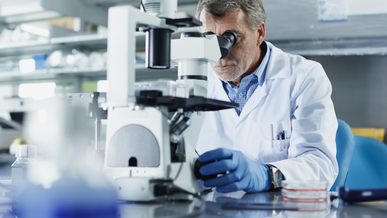 comisia europeana vrea un proces mai rapid de acordare a vizelor pentru cercetatorii americani de top 6824b7005af19