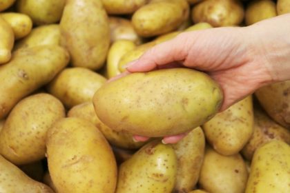 in belarus tara dictatorului lukasenko este penurie de cartofi simbol al identitatii nationale 6821a4acea4f4