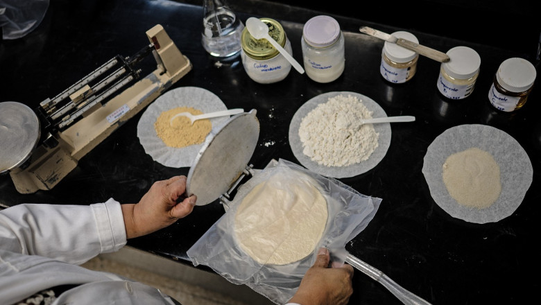 mexicanii experimenteaza cu tortilla de ce vor o varianta care sa reziste mult timp fara a fi pastrata la frigider 6832a18a8ec63