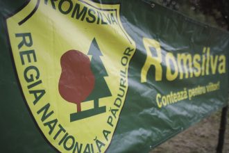 ministerul mediului incepe selectia pentru viitorul consiliu de administratie al romsilva 681b998e1389a