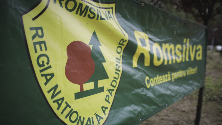 ministerul mediului incepe selectia pentru viitorul consiliu de administratie al romsilva 681b998e1389a