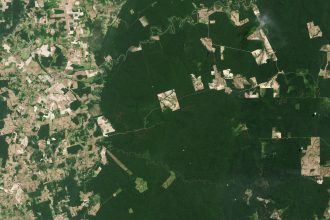 noua gaselnita a cercetatorilor satelit creat pentru a scana padurile pamantului 681838f5a9abd