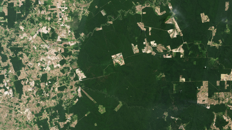 noua gaselnita a cercetatorilor satelit creat pentru a scana padurile pamantului 681838f5a9abd