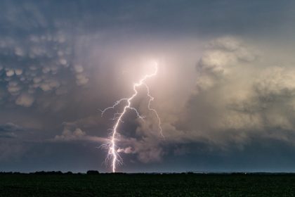 o gradina zoologica din franta a fost lovita de trasnet cel putin 15 raniti 6824fc288f08c