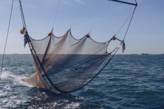 organizatiile de mediu cer masuri urgente pentru protejarea oceanelor pactul ue criticat pentru lipsa de actiuni concrete 68237a989c791