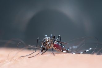 schimbarile climatice favorizeaza aparitia unor focare de boli tropicale in europa anumite maladii ar putea creste de cinci ori 6826c2d4af505