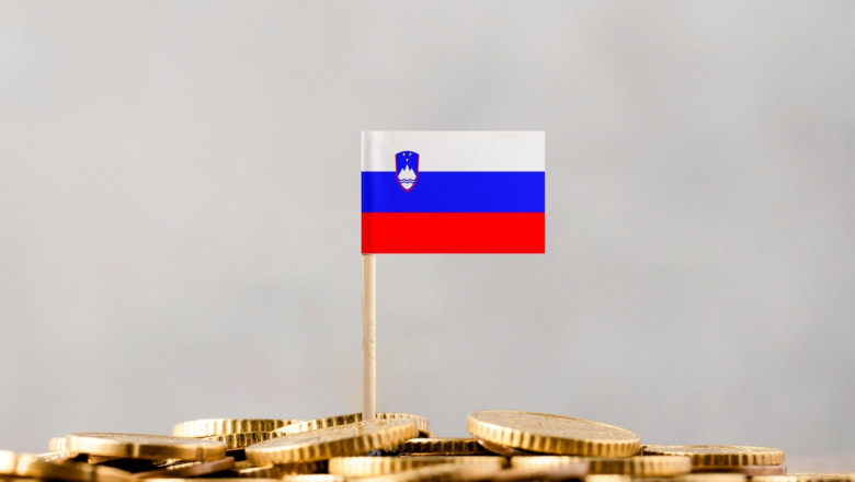 slovenia va introduce in constitutie dreptul de a utiliza numerar 6830c10a3558e