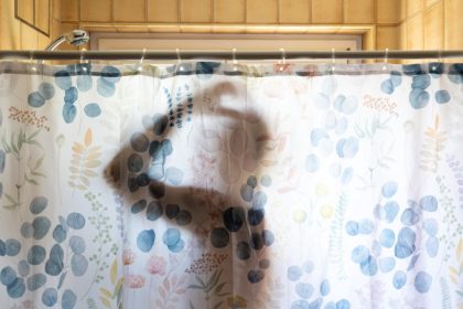 ue va indemna tarile membre sa taie consumul de apa cu cel putin 10 cand facem dus trebuie sa ne gandim la asta 68384fcf431f0