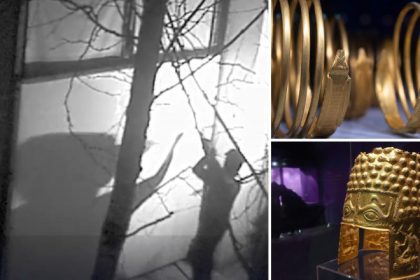 video furtul tezaurului dacic din olanda noi indicii pretioase ce au aflat anchetatorii in urma unei investigatii sub acoperire 6820d8c438a10