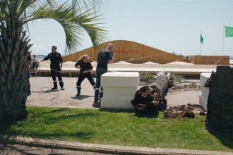 video palmier cazut peste un agent de film la cannes barbatul a ajuns la spital cu rani la coloana si fata 6828f428da952