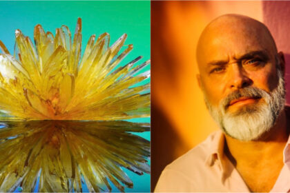 ascensiunea si decaderea unui imperiu al drogurilor psihedelice cum s a prabusit o retea de laboratoare secrete de dmt din america 683d230256fcf