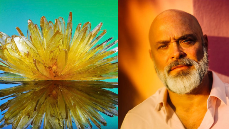 ascensiunea si decaderea unui imperiu al drogurilor psihedelice cum s a prabusit o retea de laboratoare secrete de dmt din america 683d230256fcf