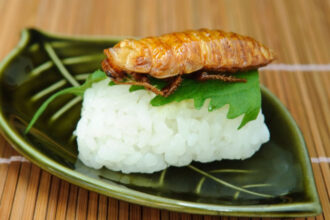 de ce esueaza planul de a inlocui carnea din mancare cu insecte pentru salvarea planetei studiu 685cc9ce842cd