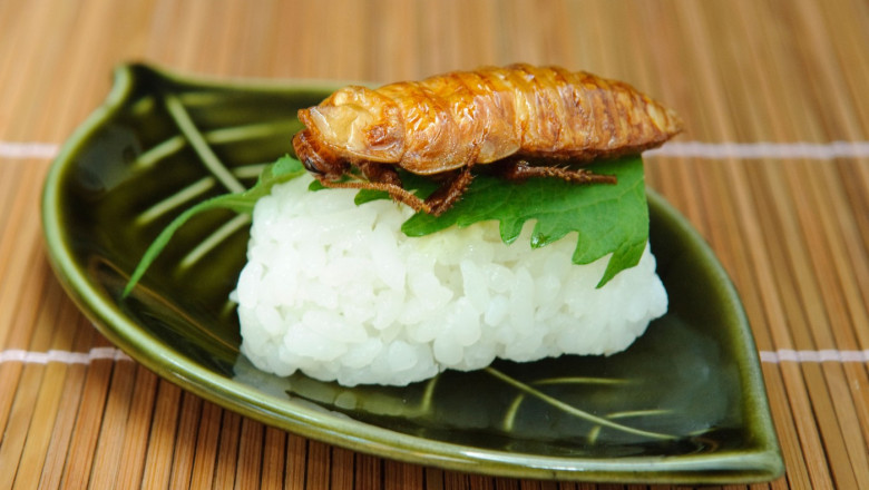 de ce esueaza planul de a inlocui carnea din mancare cu insecte pentru salvarea planetei studiu 685cc9ce842cd