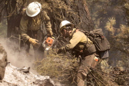 doi morti si un ranit in sua dupa ce pompierii care interveneau la un incendiu de vegetatie au fost atacati in statul idaho 686216dccc3db