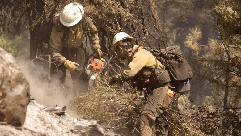 doi morti si un ranit in sua dupa ce pompierii care interveneau la un incendiu de vegetatie au fost atacati in statul idaho 686216dccc3db