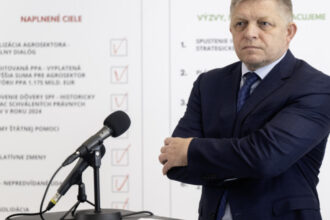 fico autoritarismul e mai eficient decat democratia din punct de vedere al economiei 6847d2241417f