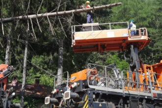 foto circulatia trenurilor intre sinaia busteni reluata dupa ce un copac a cazut pe linia de contact 2 106 minute de intarziere cumulate 68618680a9c76